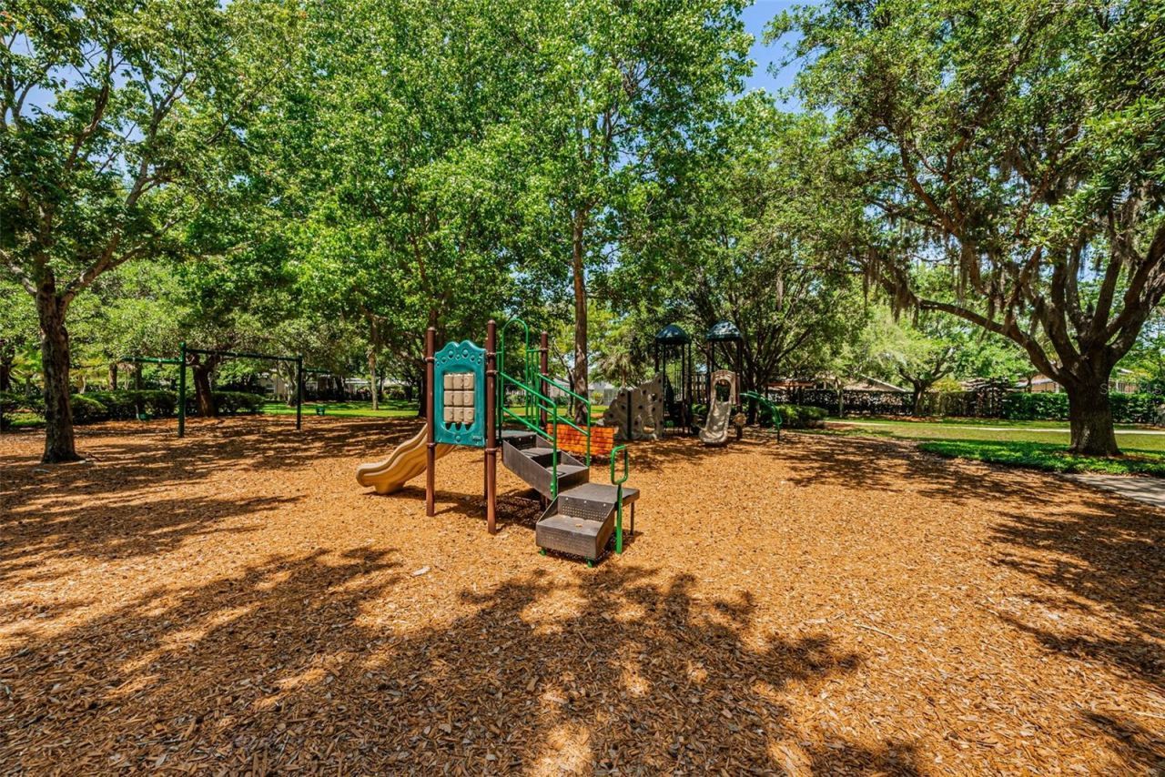 10440 Tecoma Drive, Trinity, FL 34655 Photo