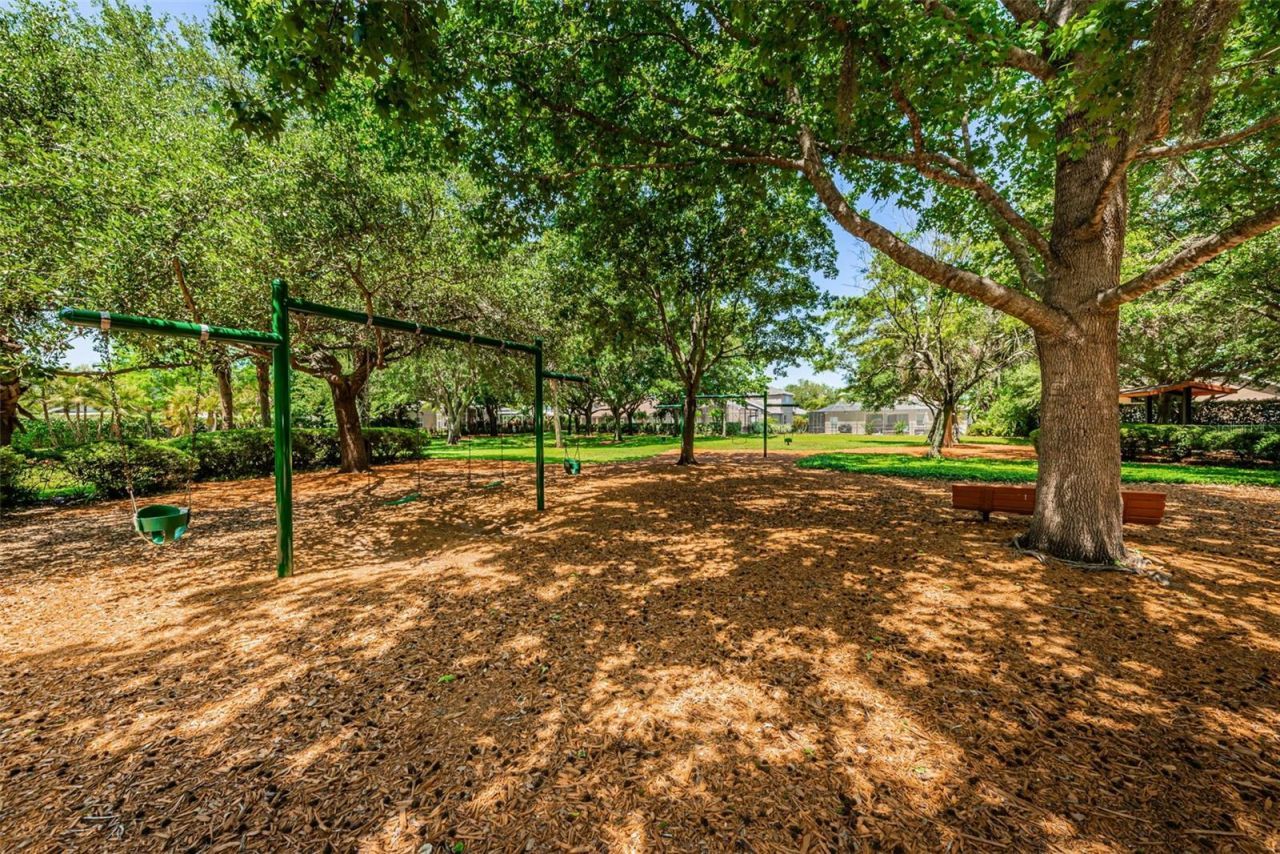 10440 Tecoma Drive, Trinity, FL 34655 Photo
