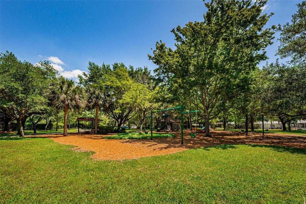 10440 Tecoma Drive, Trinity, FL 34655 Photo