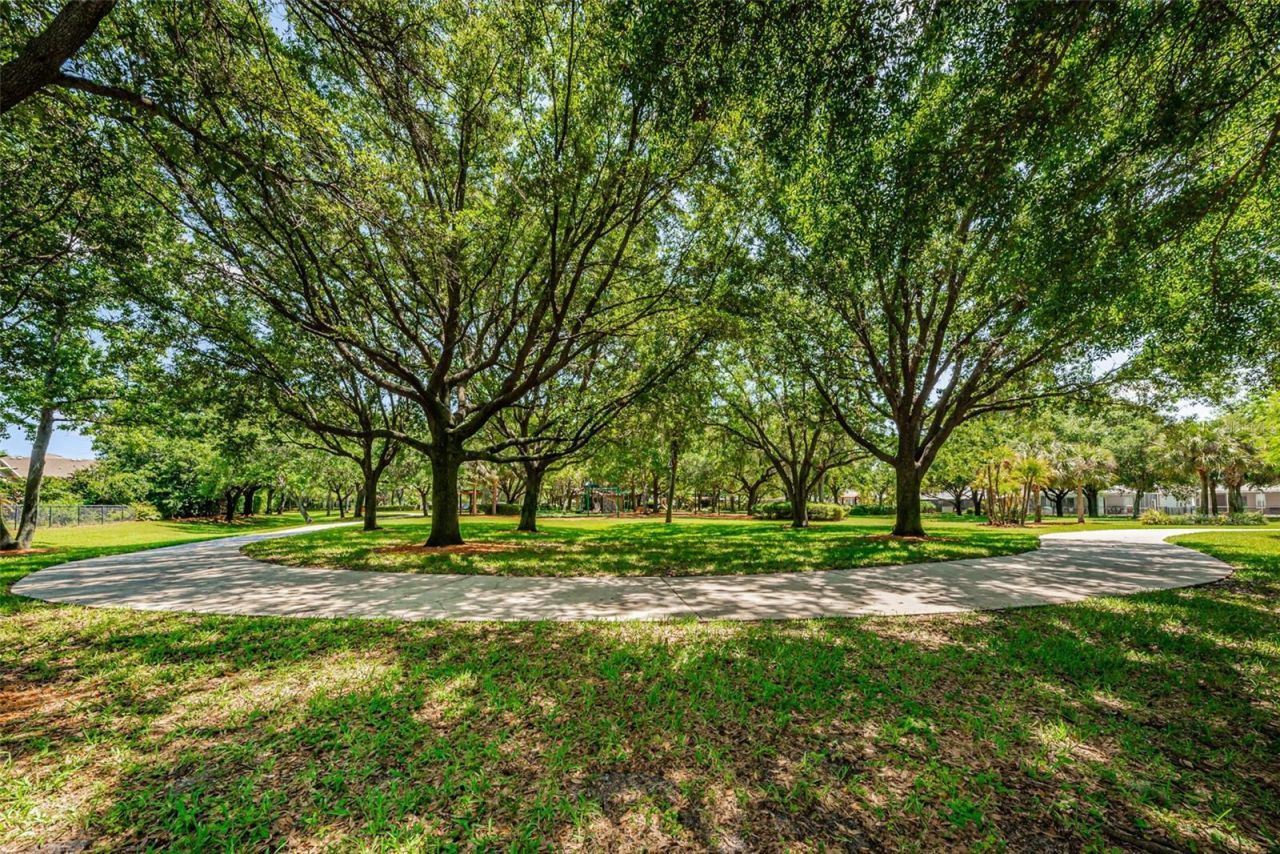 10440 Tecoma Drive, Trinity, FL 34655 Photo