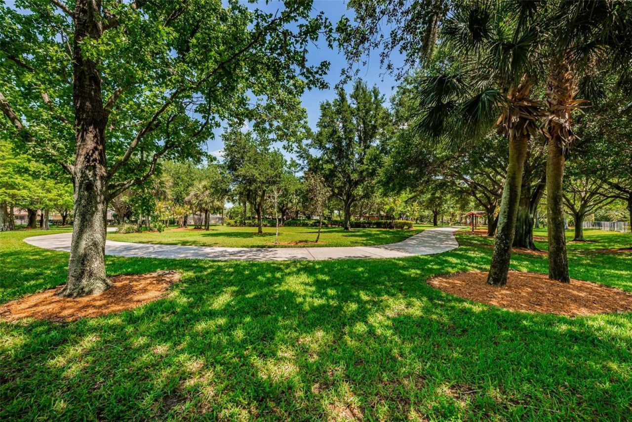 10440 Tecoma Drive, Trinity, FL 34655 Photo