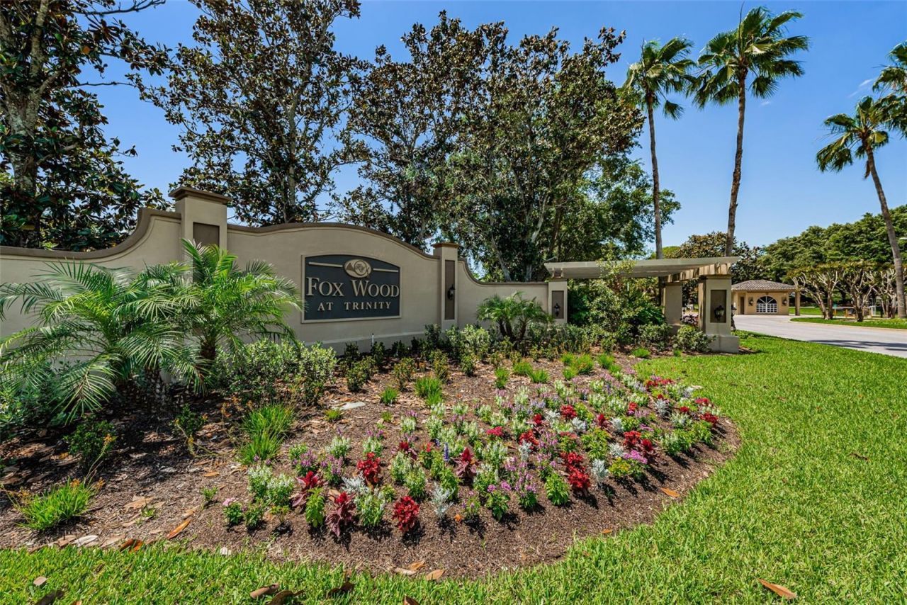 10440 Tecoma Drive, Trinity, FL 34655 Photo