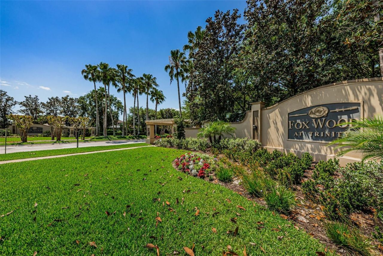 10440 Tecoma Drive, Trinity, FL 34655 Photo