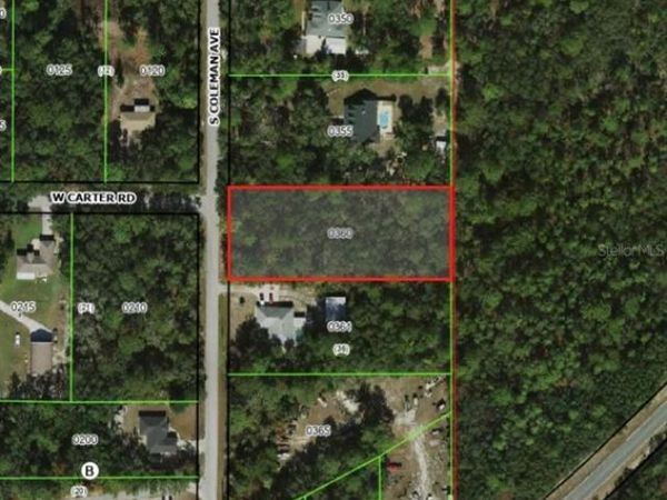 2823 S COLEMAN AVENUE , HOMOSASSA, FL 34448