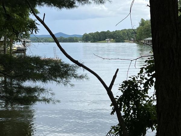 Lots 7B,7C Fox Chase RD, Wirtz, VA 24184