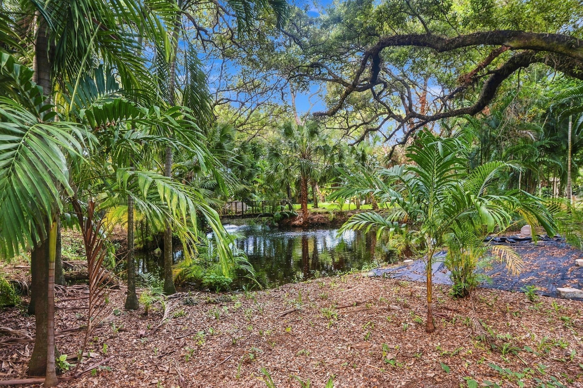 1549 SW 30th Place, Fort Lauderdale, FL 33315 Photo