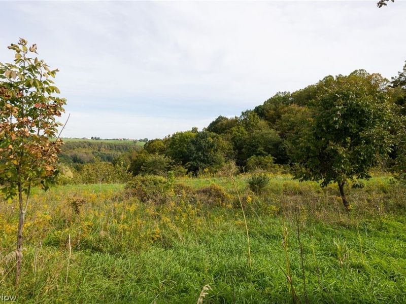 County Road 11 Road, Dillonvale, OH 43917 Photo 16