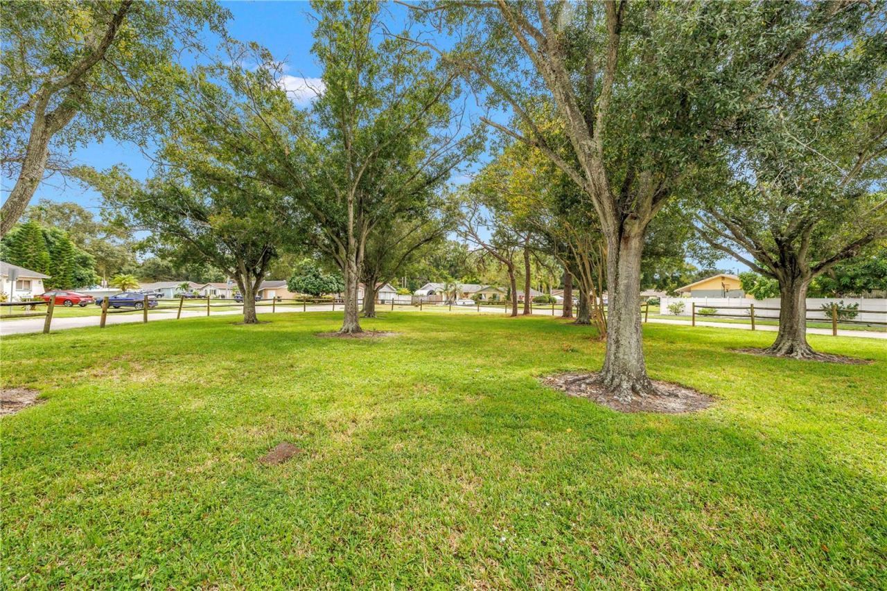 6039 99th Court, Pinellas Park, FL 33782 Photo