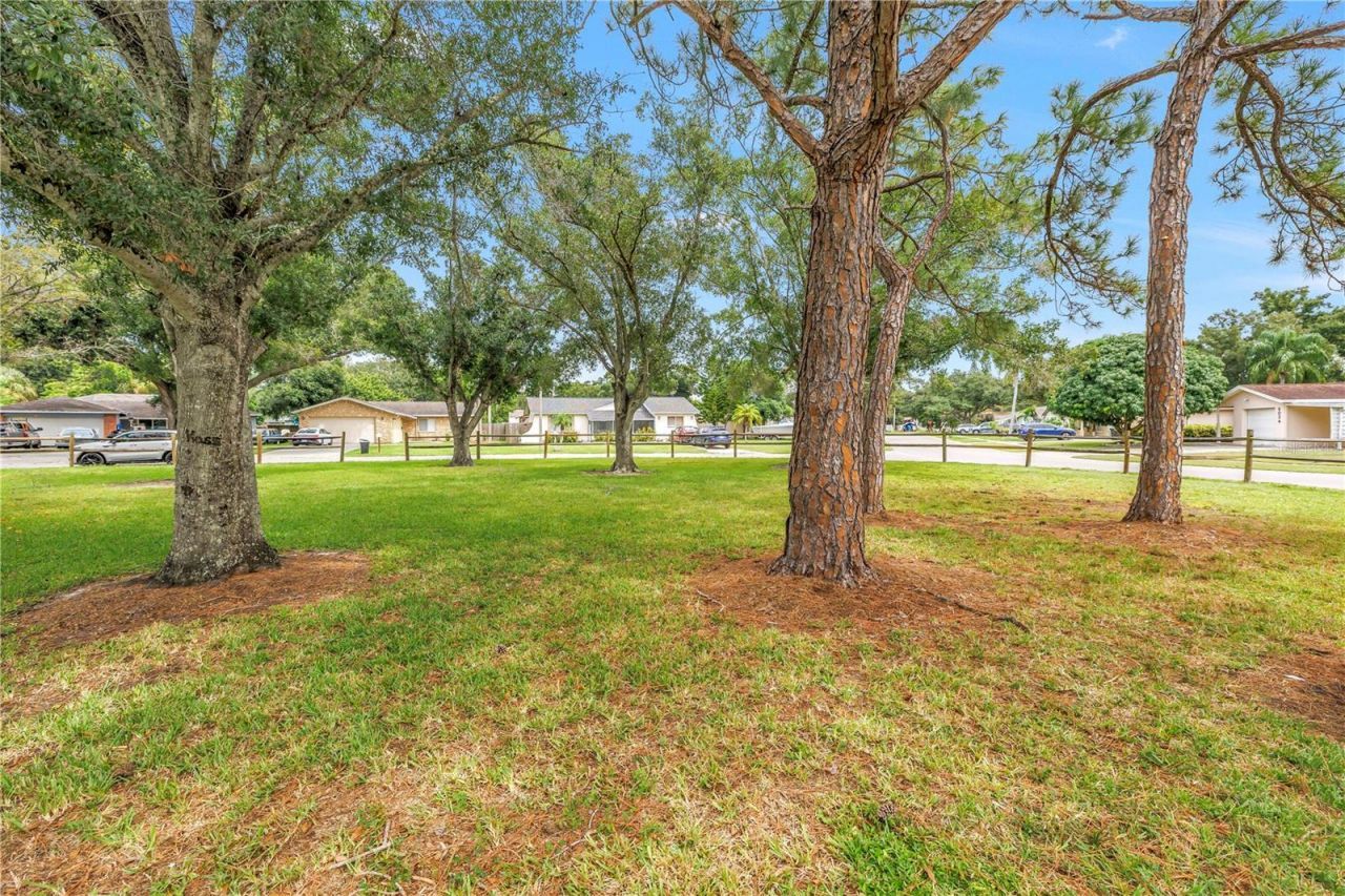 6039 99th Court, Pinellas Park, FL 33782 Photo