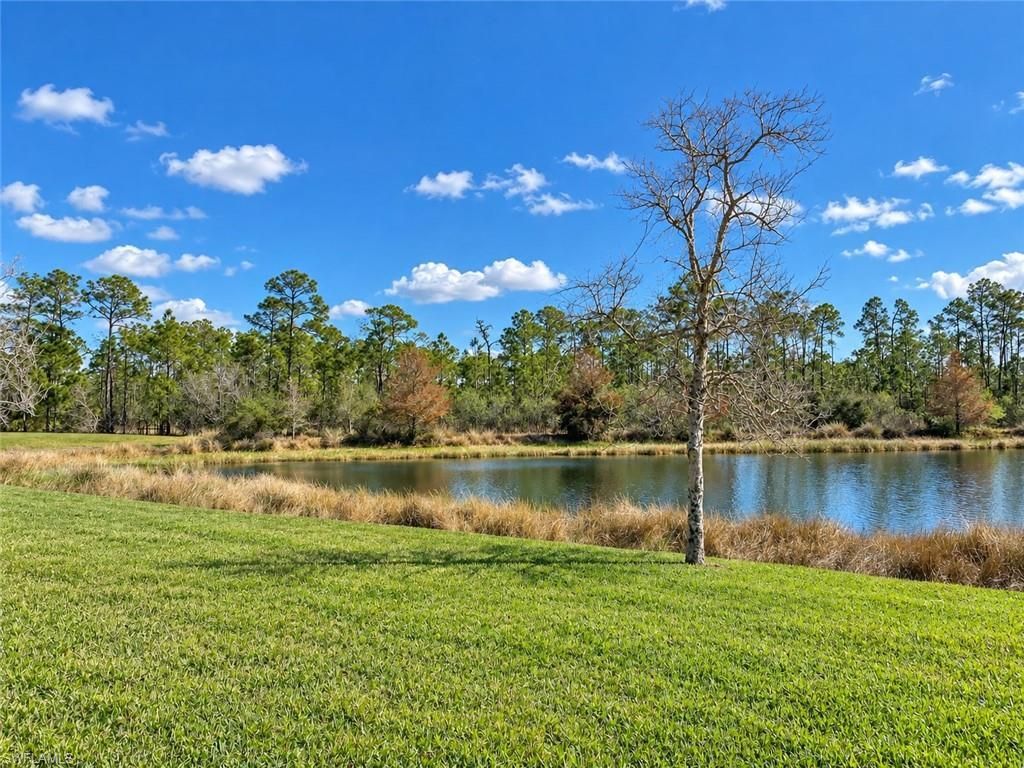 21718 Bella Terra Blvd , Estero, FL 33928 Photo