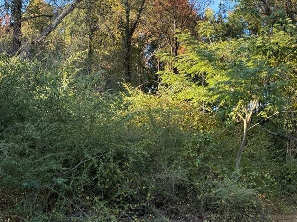 0 Highway 43 N, Northport, AL 35474