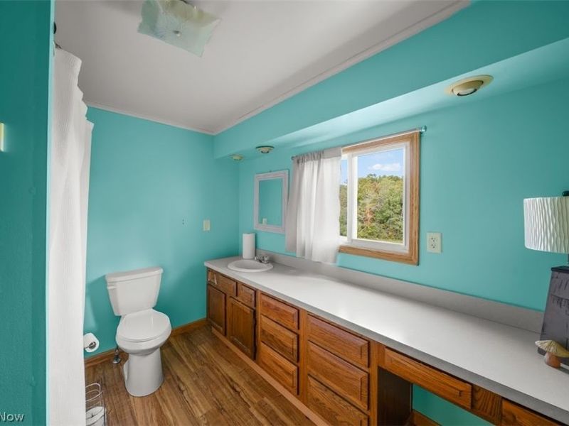 3628 & 3604 Painesville Warren Road, Southington, OH 44470 Photo 14