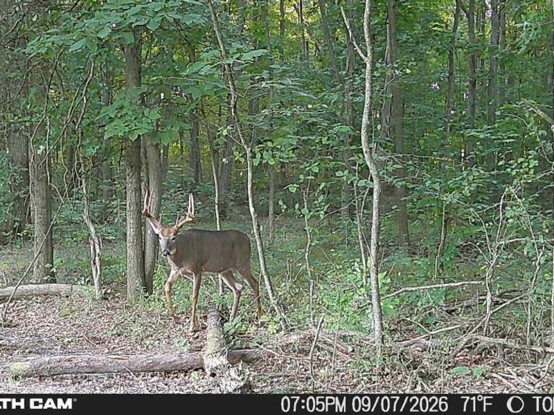 3628 & 3604 Painesville Warren Road, Southington, OH 44470 Photo 47