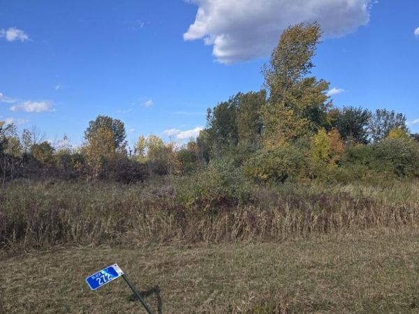 272 E LONE ELM AVENUE, Van Dyne, WI 54979