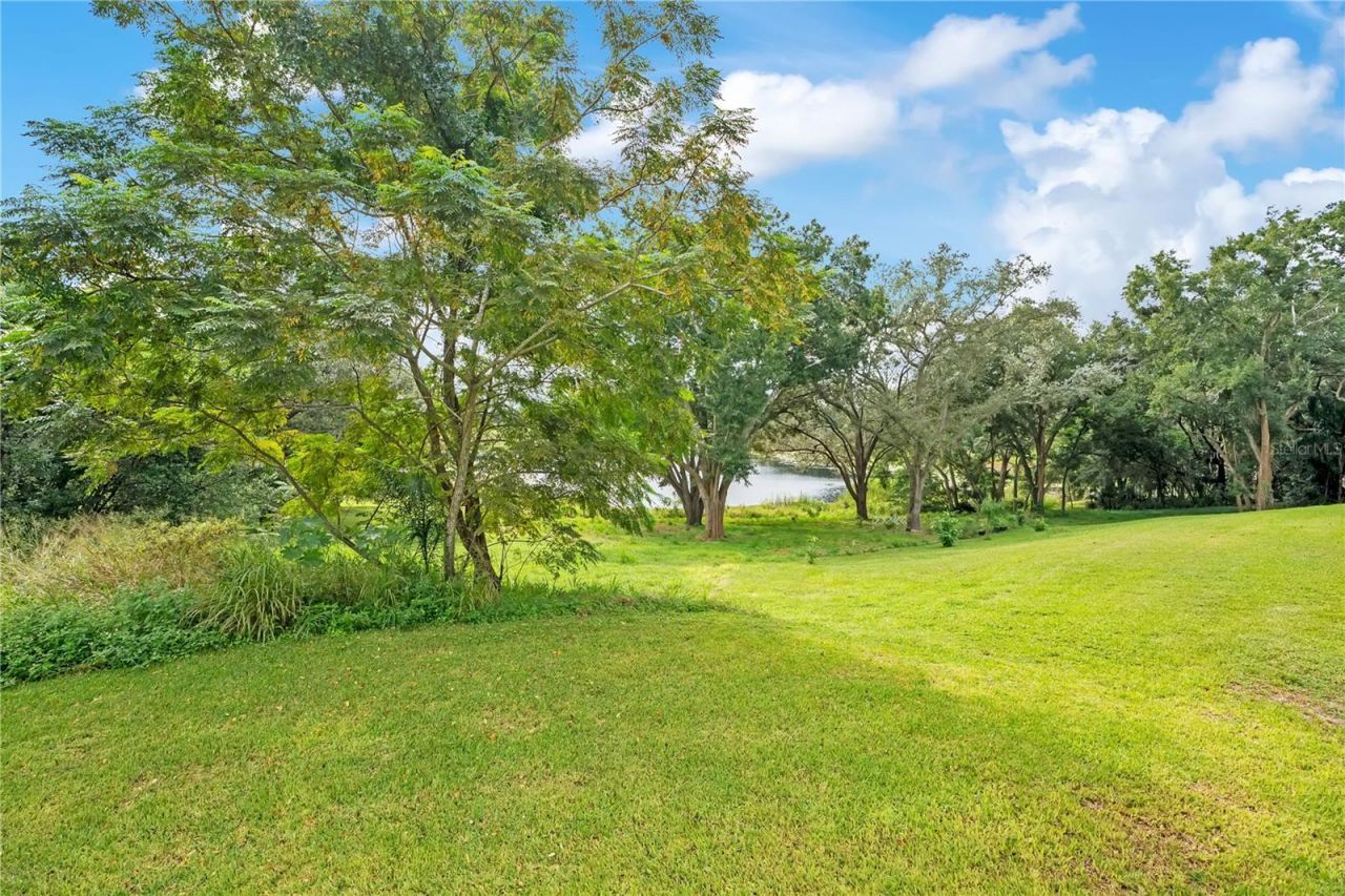 2052 Carolina Avenue, Gotha, FL 34734 Photo