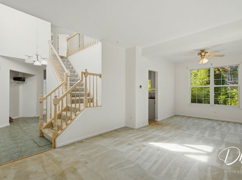 Main Photo