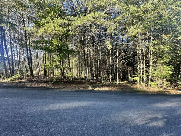 391 Windy Ridge Drive, Dayton, TN 37321