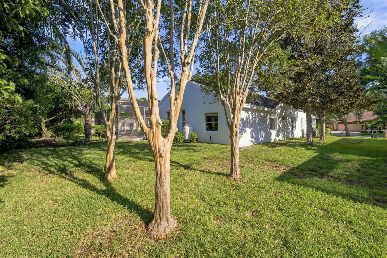 3553 Florian Terrace, Palm Harbor, FL 34685 Photo