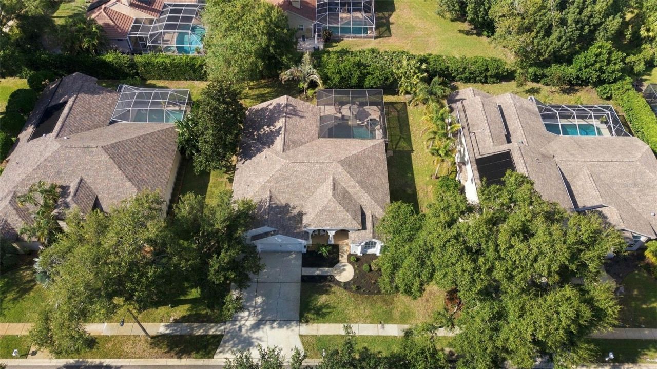 3553 Florian Terrace, Palm Harbor, FL 34685 Photo