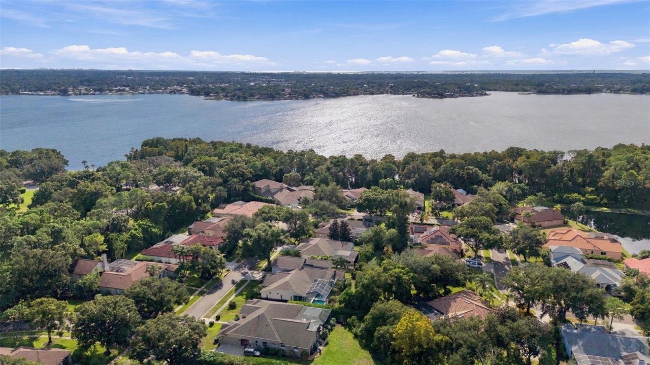 3553 Florian Terrace, Palm Harbor, FL 34685 Photo
