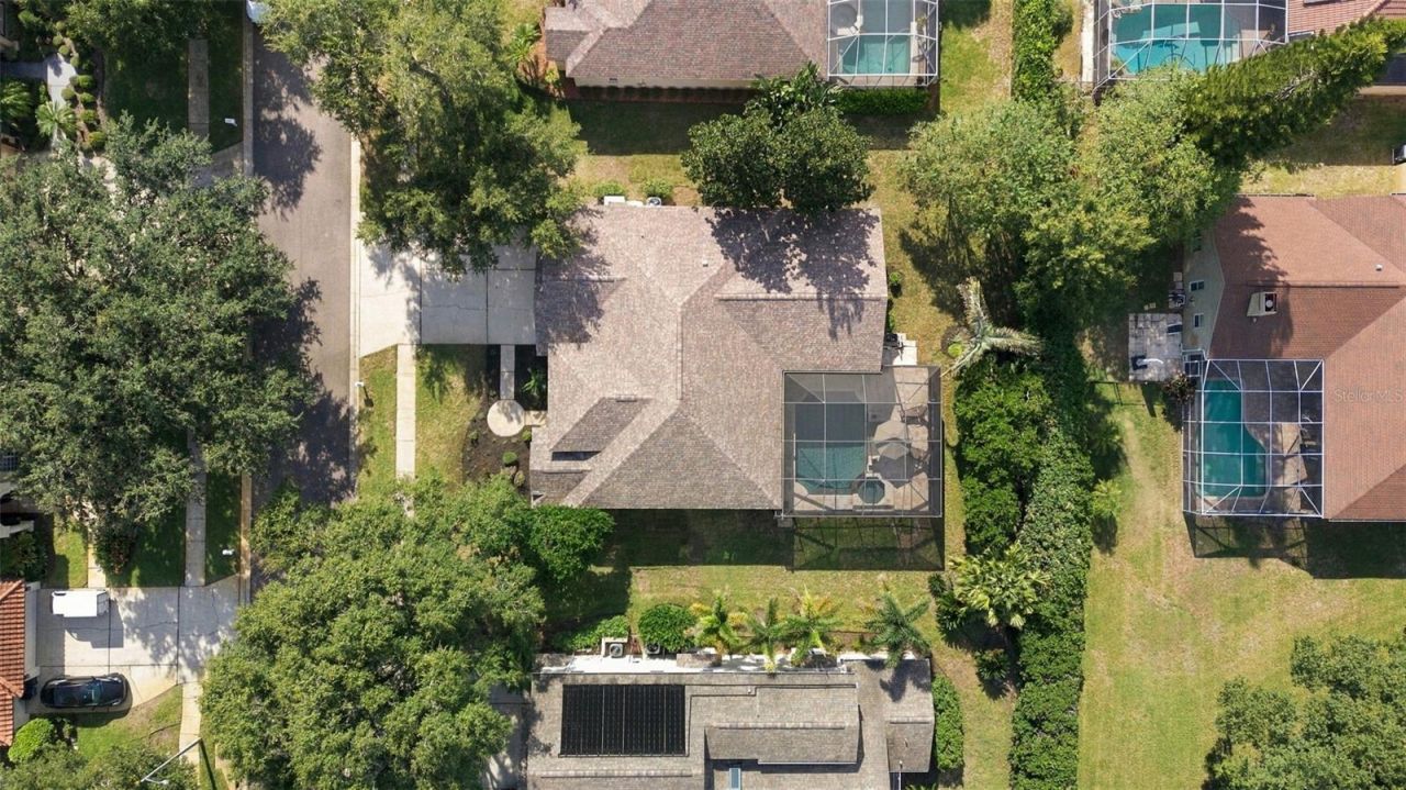 3553 Florian Terrace, Palm Harbor, FL 34685 Photo