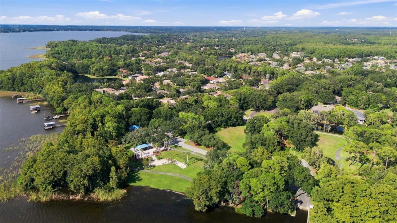 3553 Florian Terrace, Palm Harbor, FL 34685 Photo