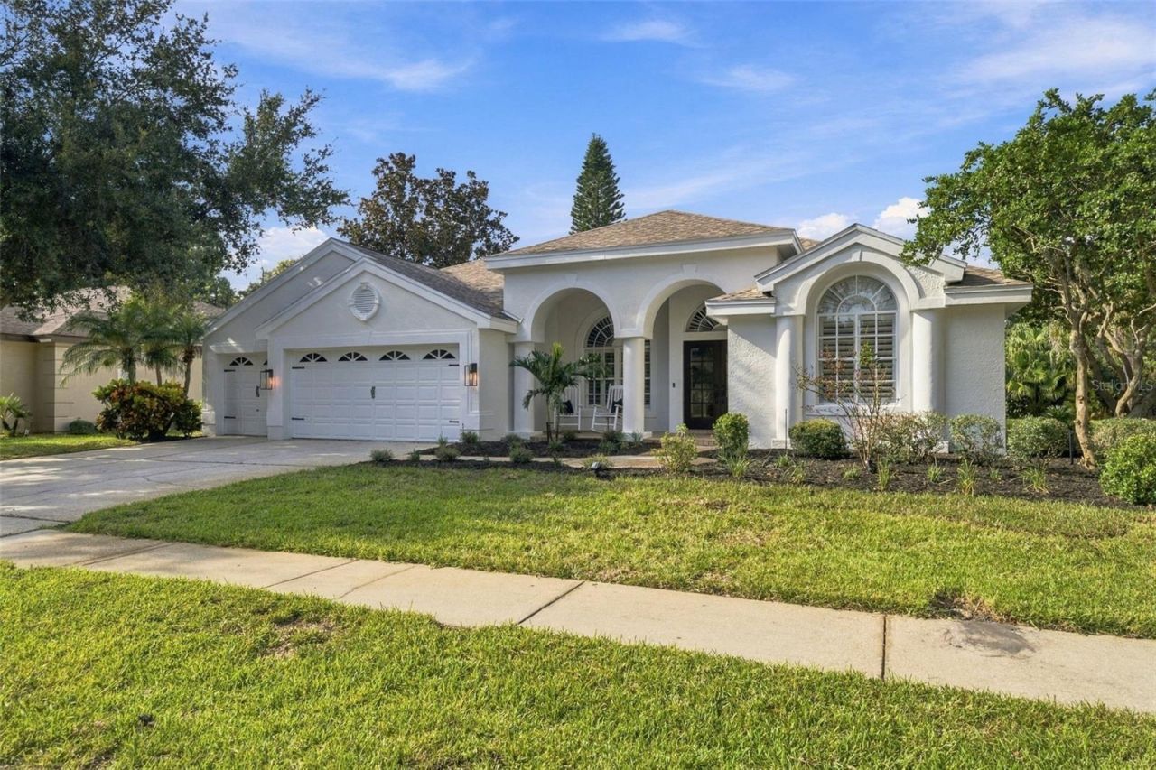 3553 Florian Terrace, Palm Harbor, FL 34685 Photo