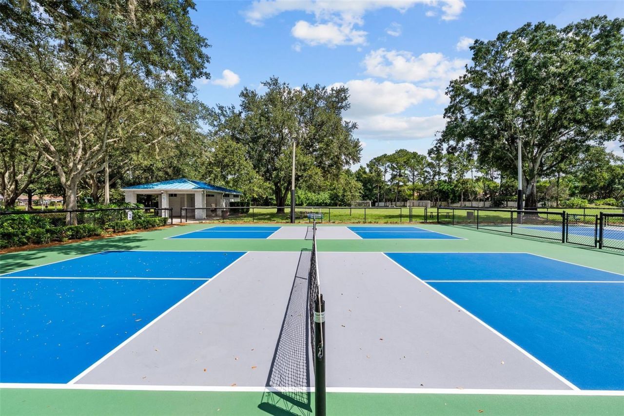 3553 Florian Terrace, Palm Harbor, FL 34685 Photo