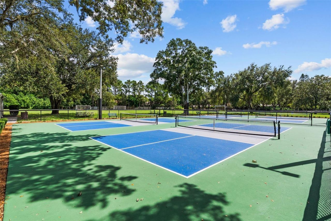 3553 Florian Terrace, Palm Harbor, FL 34685 Photo