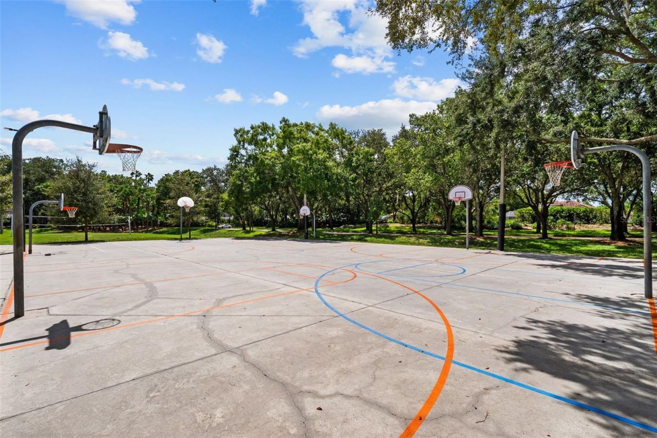3553 Florian Terrace, Palm Harbor, FL 34685 Photo