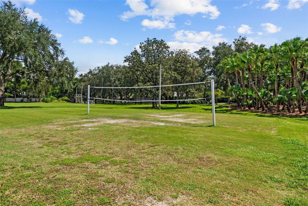 3553 Florian Terrace, Palm Harbor, FL 34685 Photo