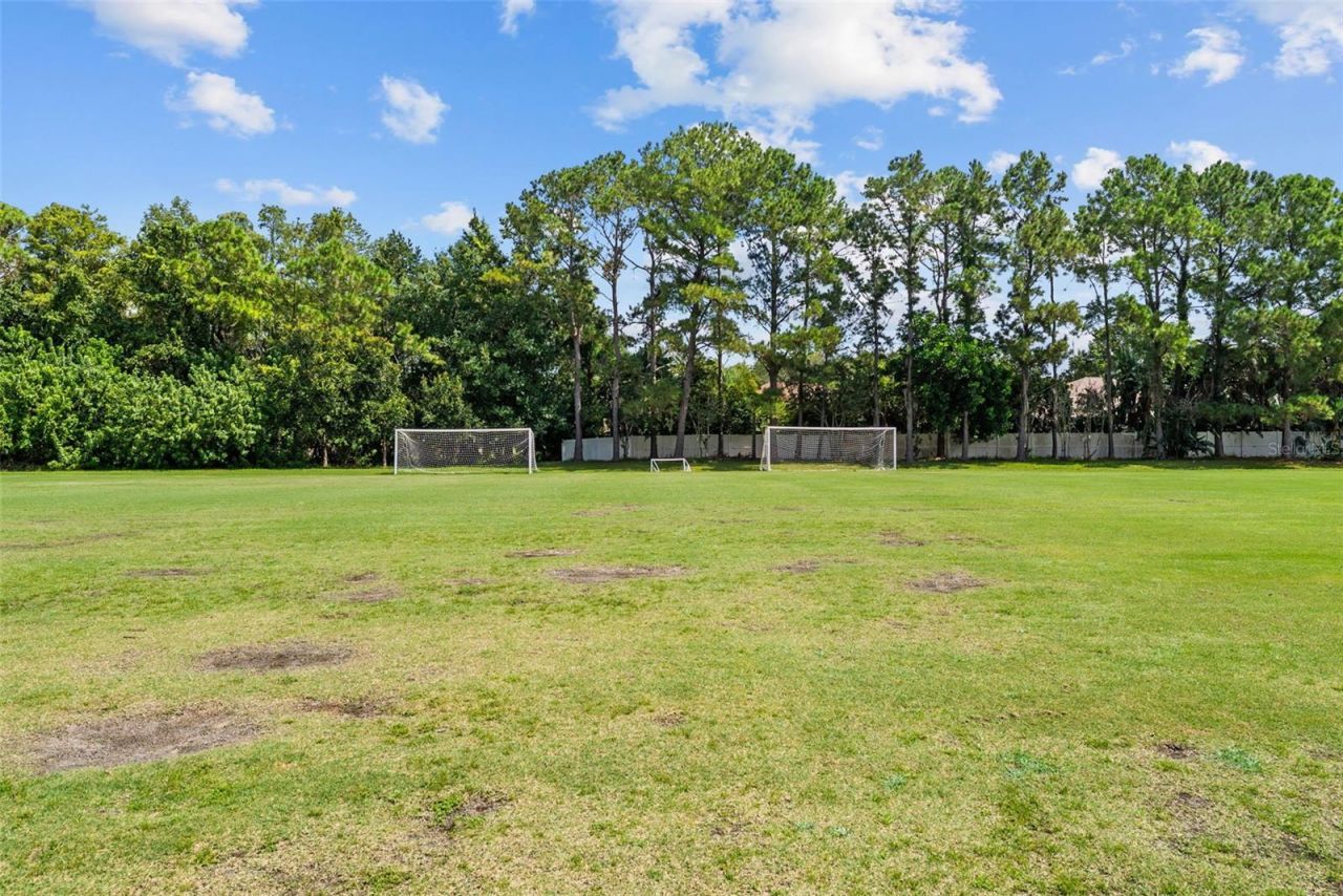 3553 Florian Terrace, Palm Harbor, FL 34685 Photo