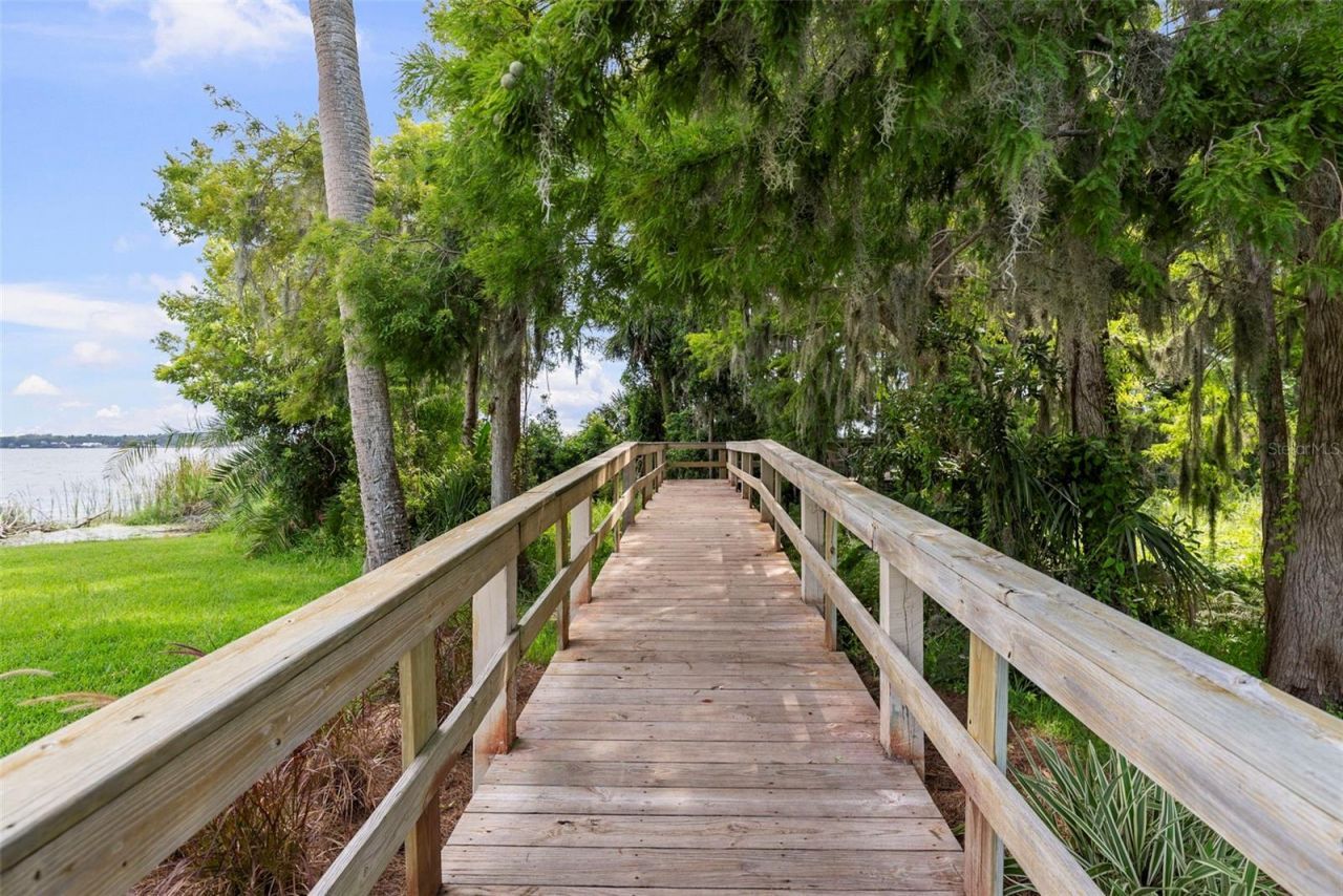 3553 Florian Terrace, Palm Harbor, FL 34685 Photo