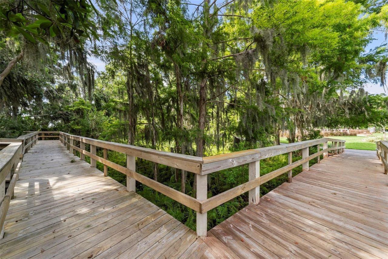 3553 Florian Terrace, Palm Harbor, FL 34685 Photo
