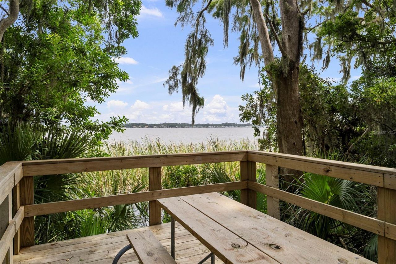 3553 Florian Terrace, Palm Harbor, FL 34685 Photo