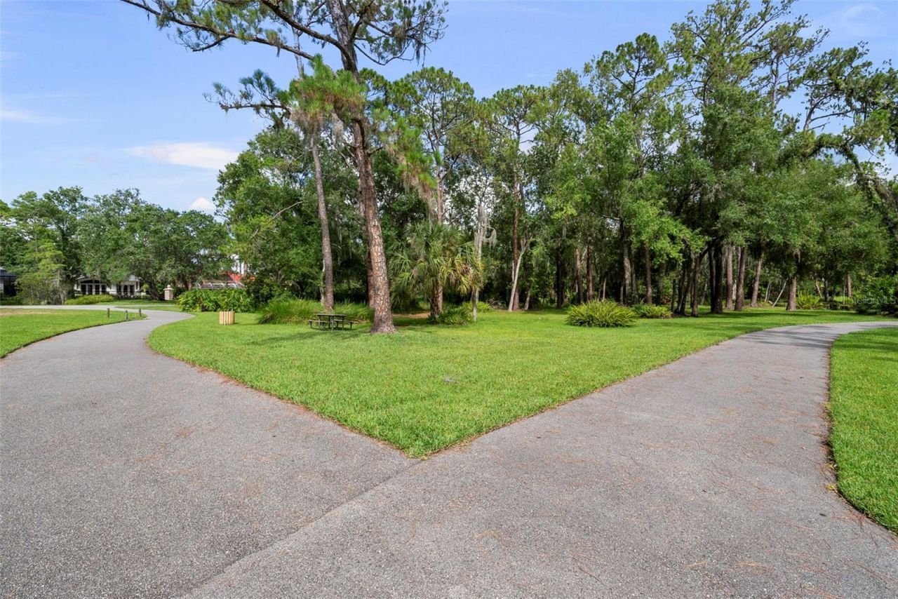 3553 Florian Terrace, Palm Harbor, FL 34685 Photo