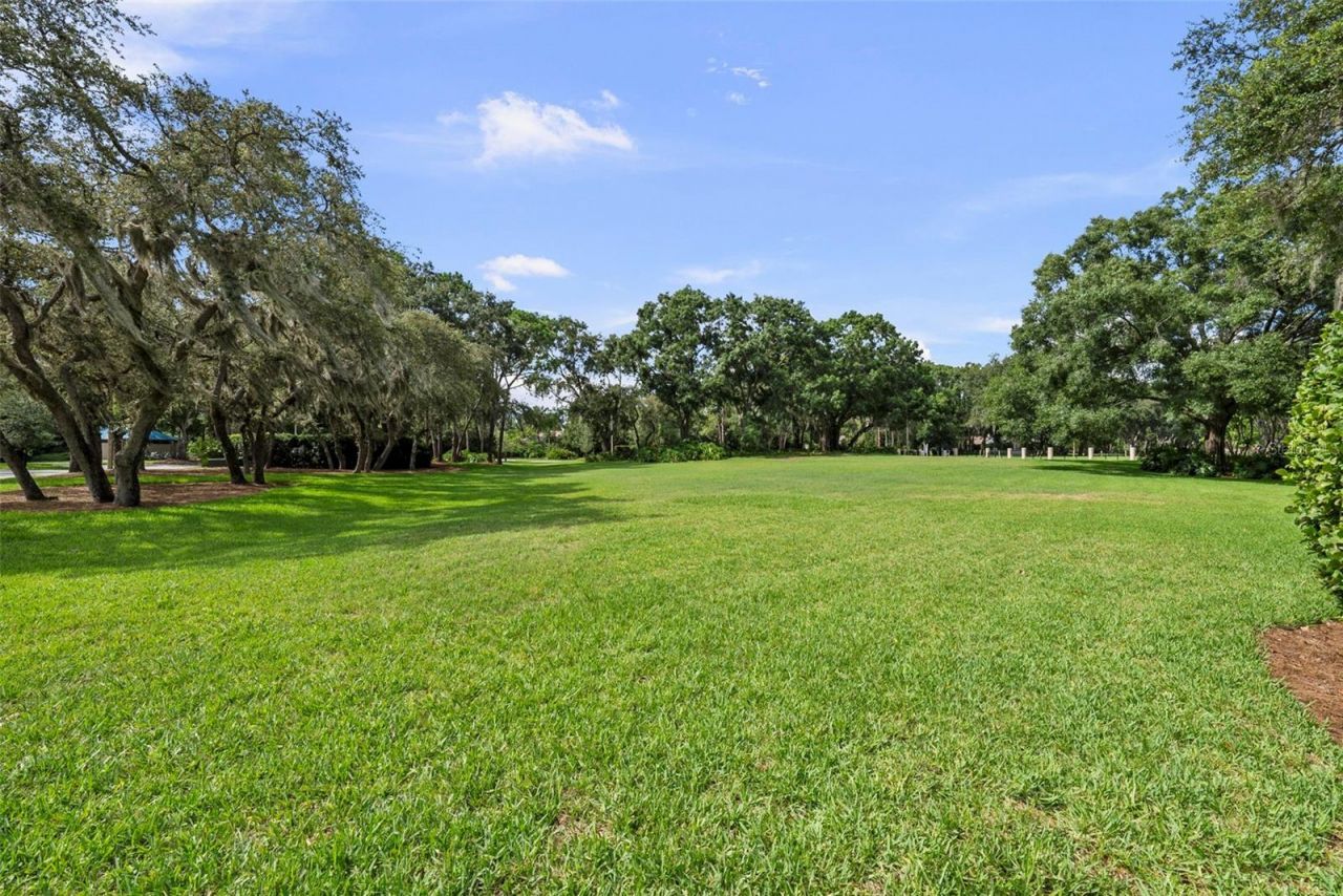 3553 Florian Terrace, Palm Harbor, FL 34685 Photo