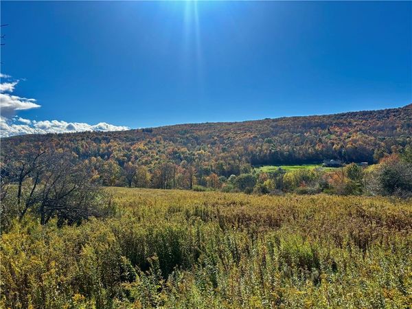 Lot 14 Heatherland Lane , Halcottsville Twp, NY 12438