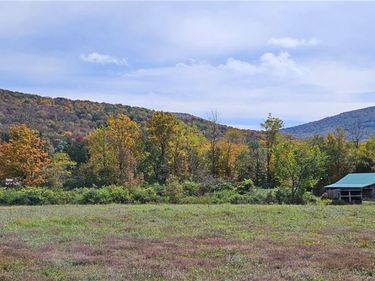 County Route 41, Roxbury, NY 12474