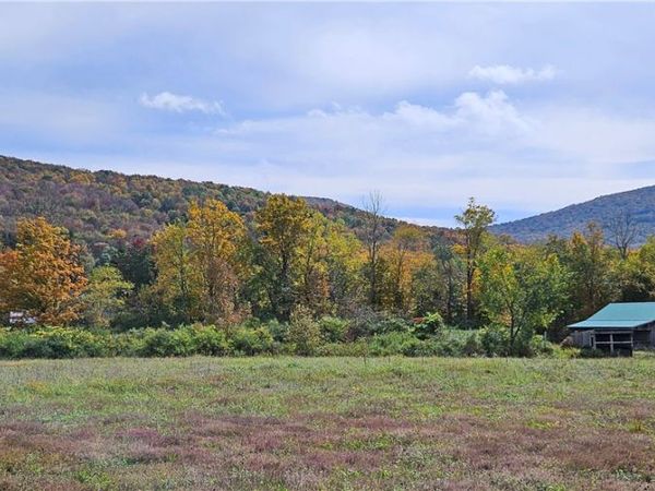 County Route 41 , Roxbury, NY 12474