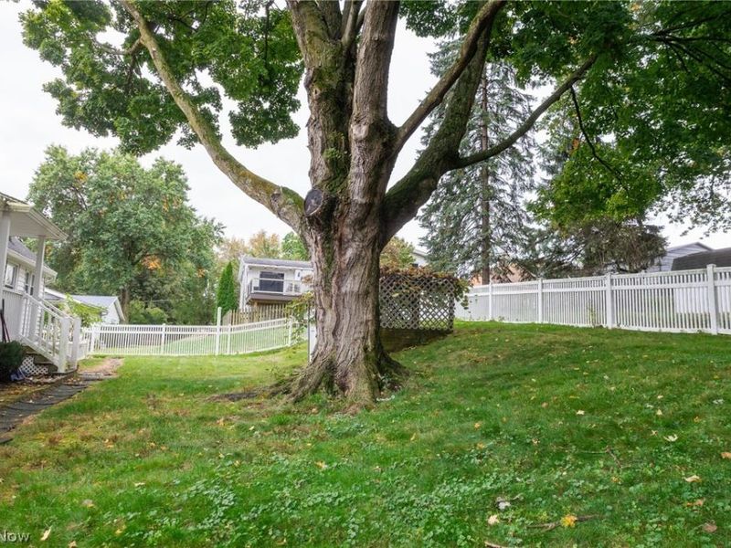117 Smucker Street, Orrville, OH 44667 Photo 32
