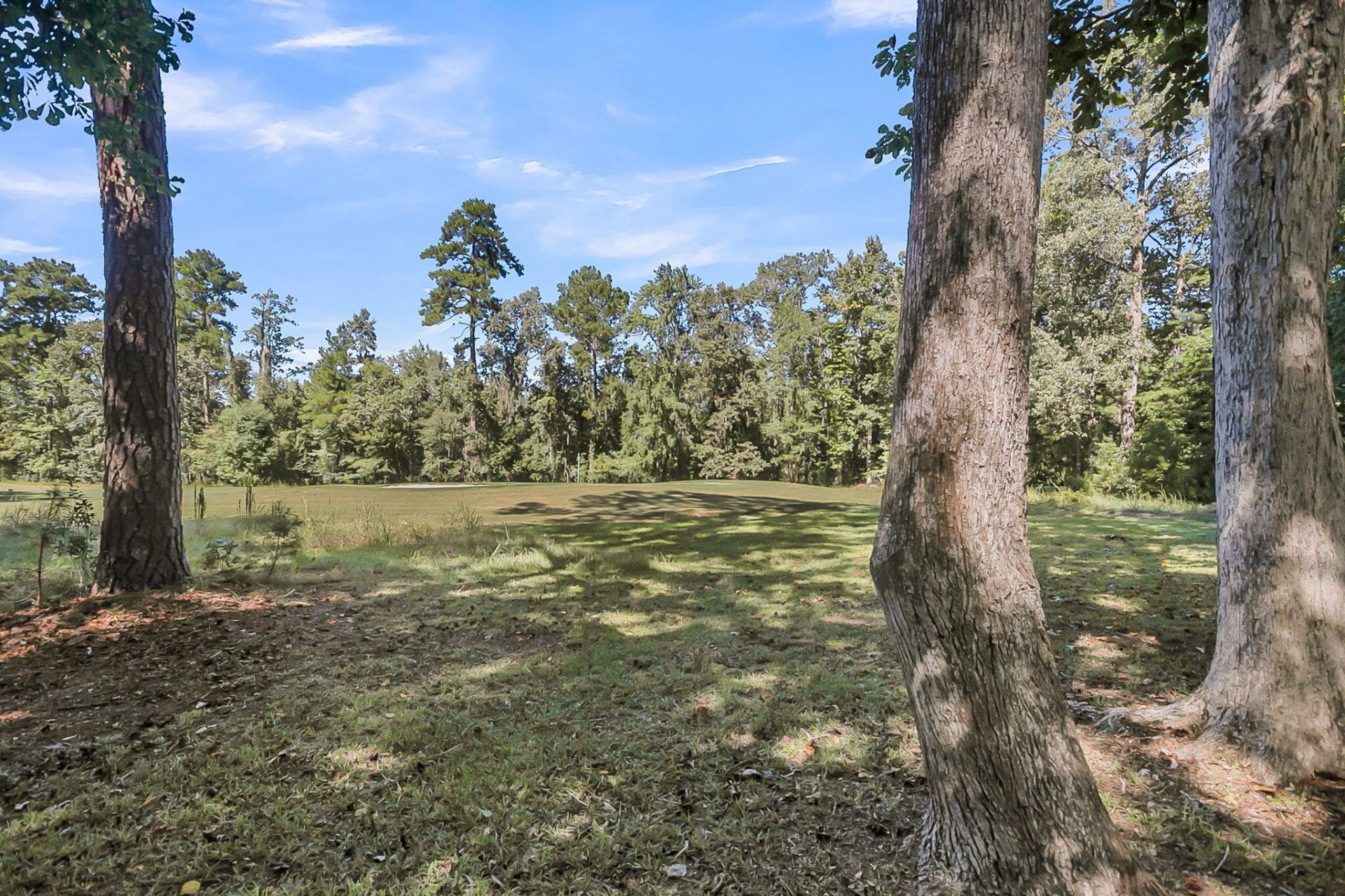 9166 Markleys Grove Boulevard Photo 48