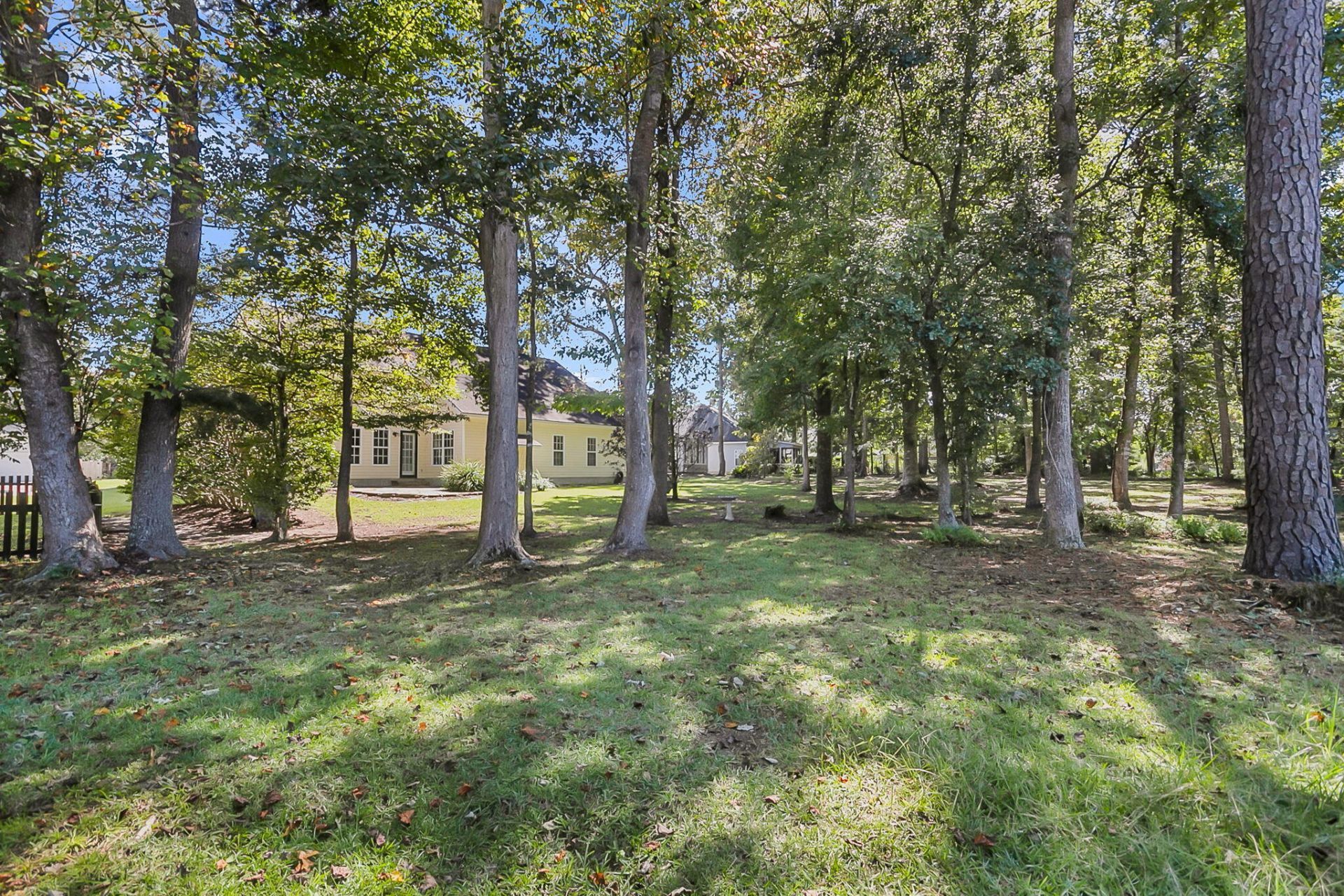 9166 Markleys Grove Boulevard Photo 49