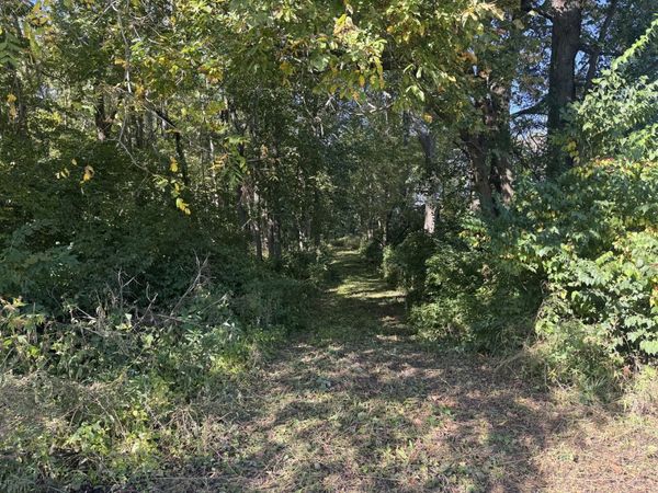 21 County Road 500 E, Sadorus, IL 61872