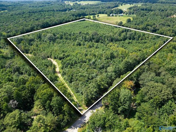 039 Walker Mountain Road, Boaz, AL 35956