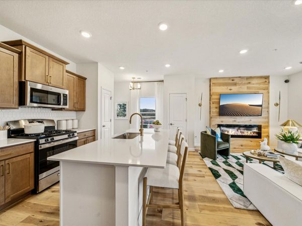 1072 130th Court E, Rosemount, MN 55068