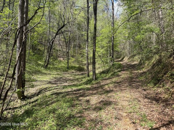 17.96 Lower Vengeance Creek Road , Marble, NC 28905