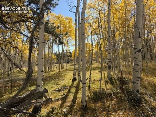 417 Aspen Way Drive, Florissant, CO 80816