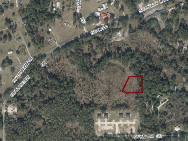 SW ROOSEVELT , MAYO, FL 32066