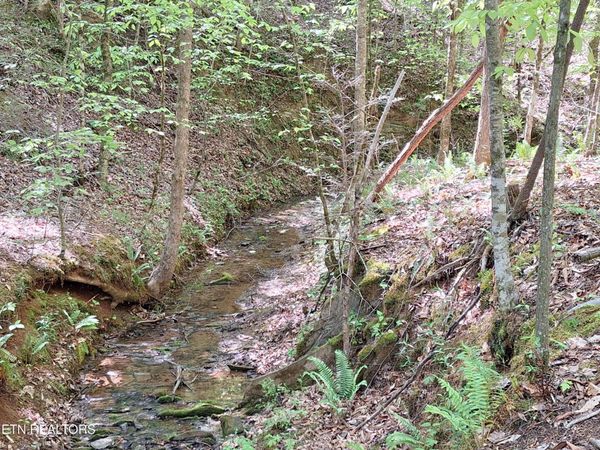 0 Payne Rd , Tellico Plains, TN 37385